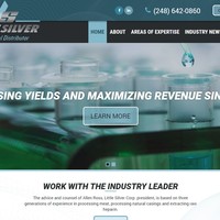 Little Silver - химия, жизнь и прибыль